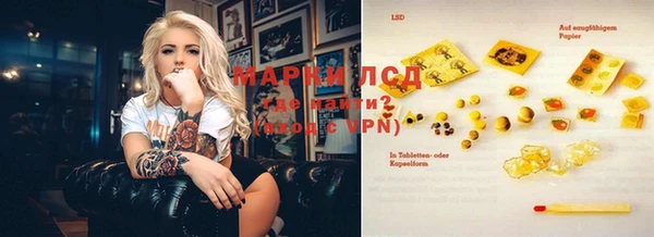 шишки Иннополис