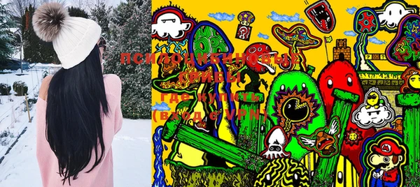 метадон Инсар